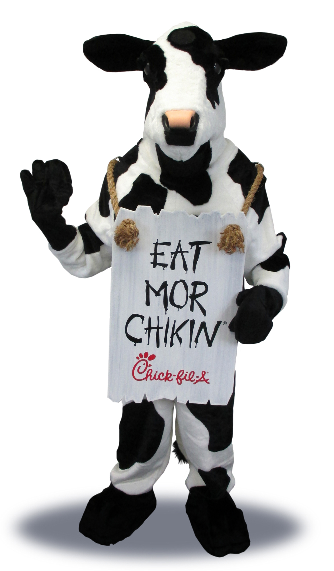 1997 – The first cow costume debuts